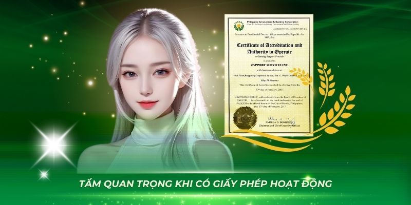 Vai trò quan trọng của giấy phép đối với OK9